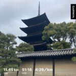 ウェイパーフライ…