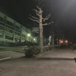 サブエガへの道その１５